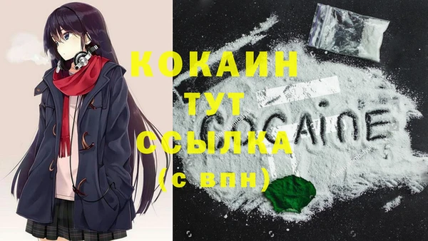 стаф Белокуриха