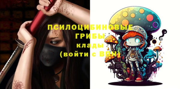 стафф Ельня
