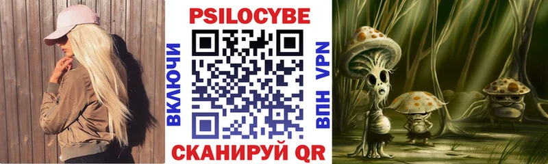 купить наркотики сайты Богданович Галлюциногенные грибы MAGIC MUSHROOMS